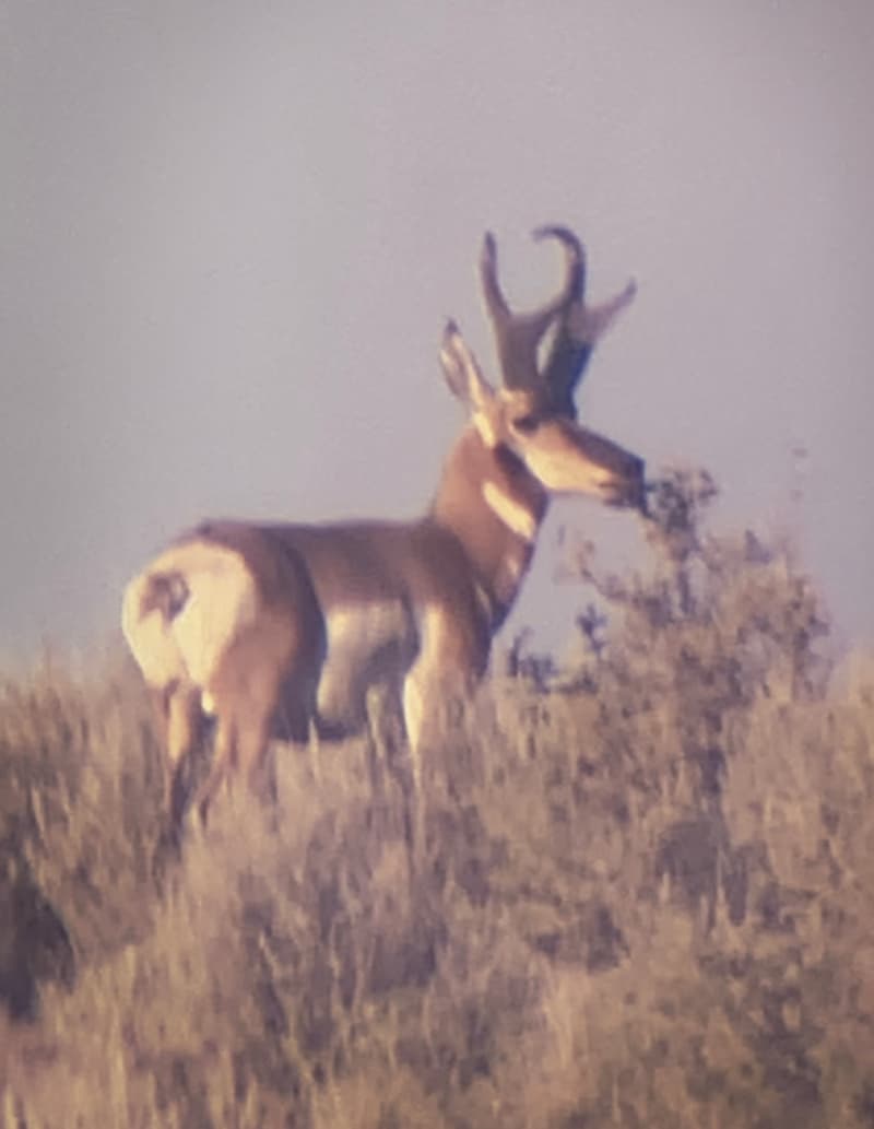 Northern Nevada Outfitters